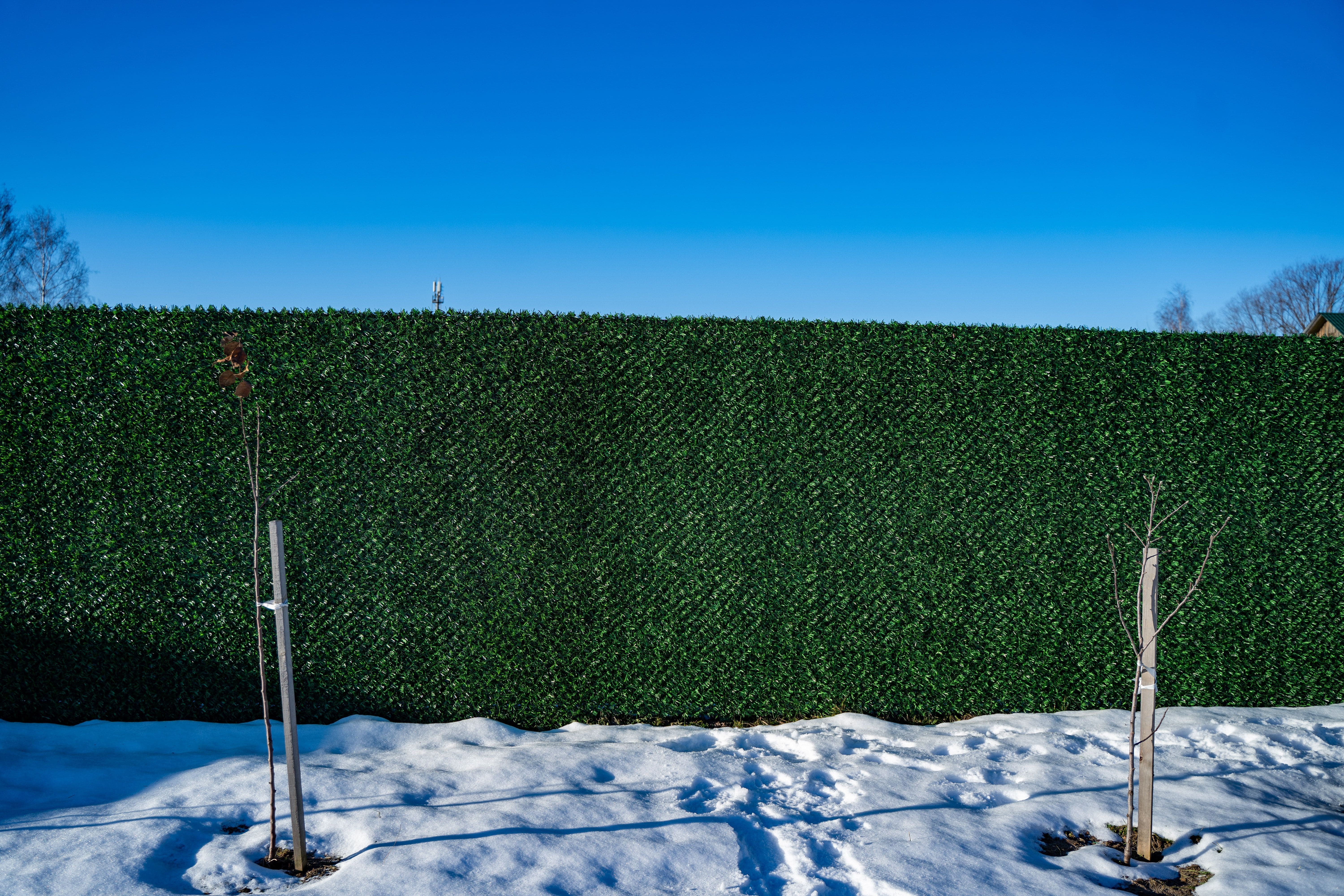 Вечнозеленый забор Grass Fence рулон 2м фото 8 в Калининграде